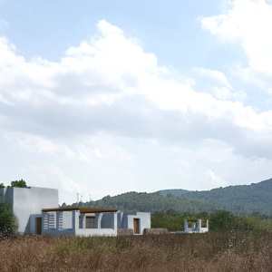 TERRENOS